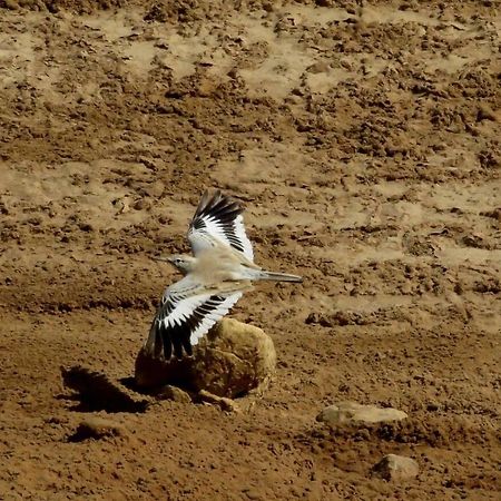 The Birdwatchers Nest Be'er Ora Экстерьер фото