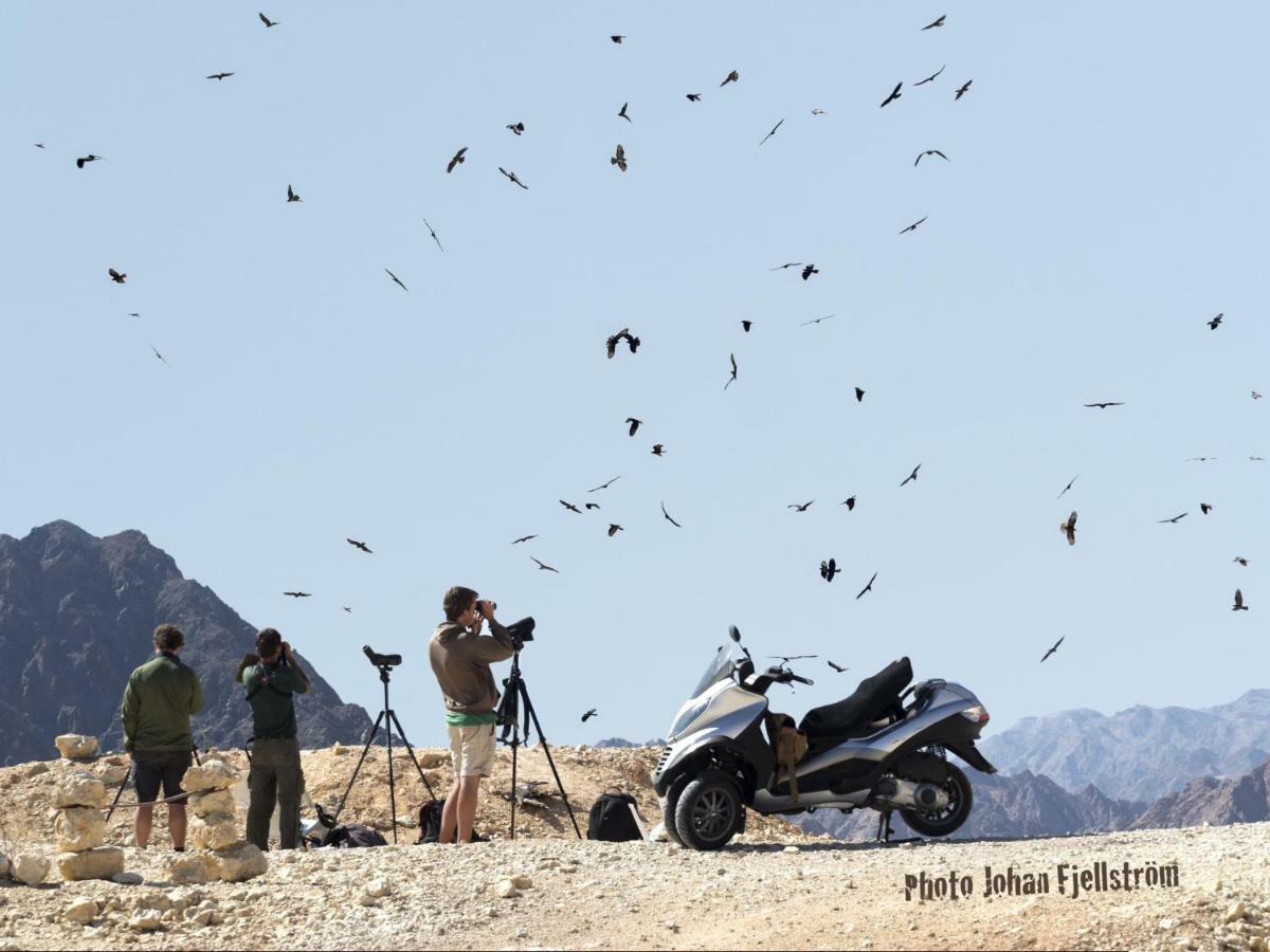 The Birdwatchers Nest Be'er Ora Экстерьер фото